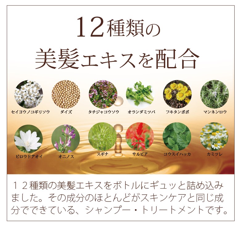 12種類の美髪エキスを配合